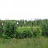 images/GolfMyndir/img_1957.jpg