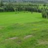 images/GolfMyndir/img_1978.jpg